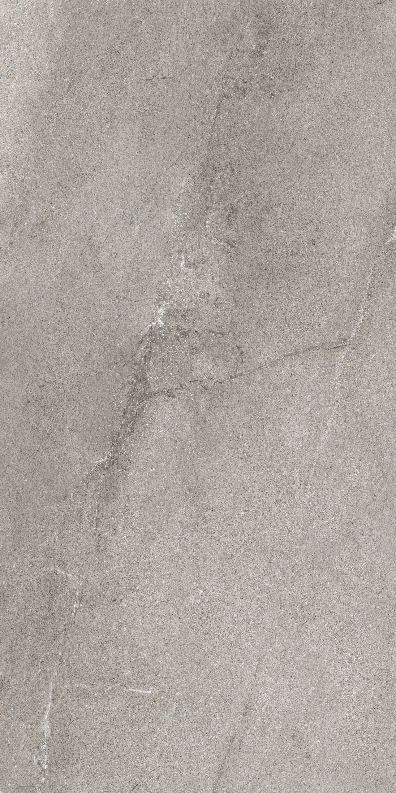 : Grey porcelain stoneware tile with natural stone look and subtle veining.