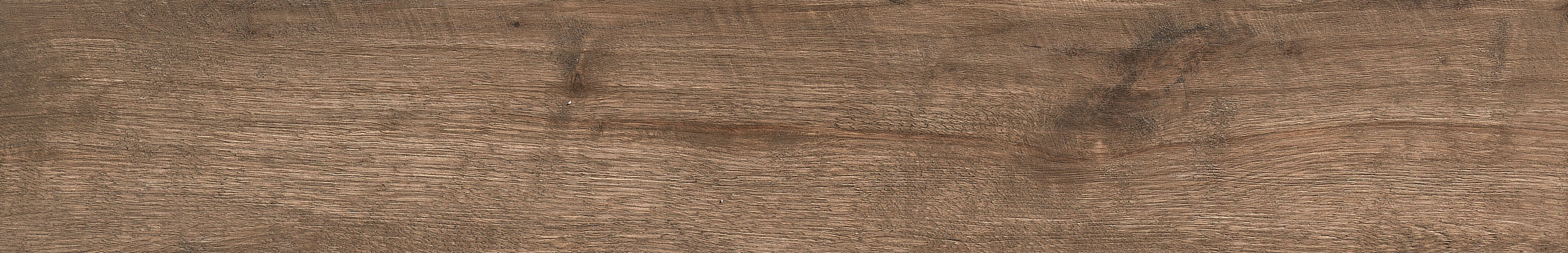 : Blurry background in warm brown tones.