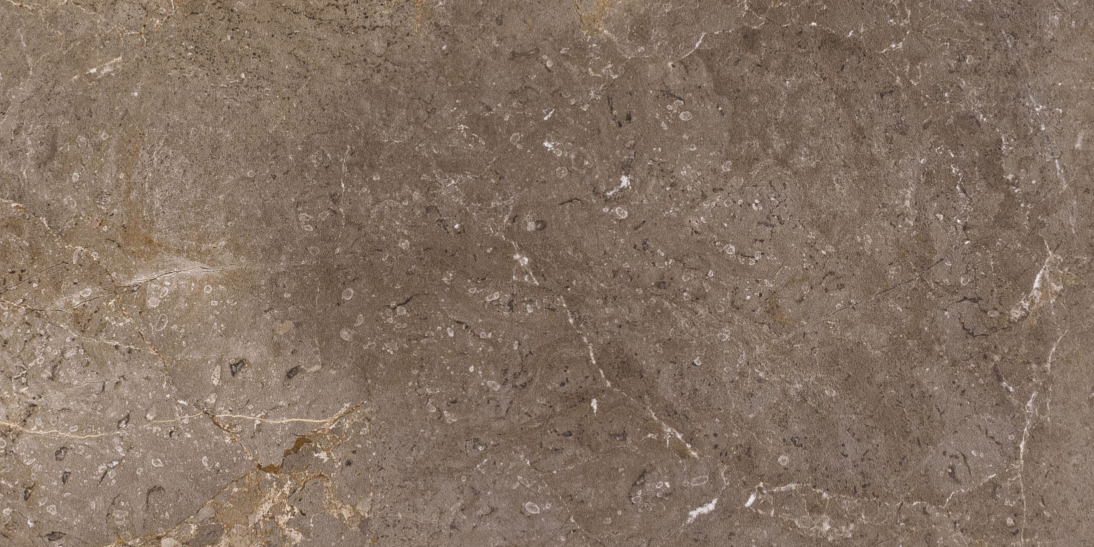 : Brown porcelain stoneware tile with natural stone look and fine veining.